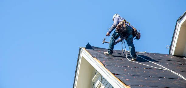 Best Residential Roofing Contractor  in Texas City, TX